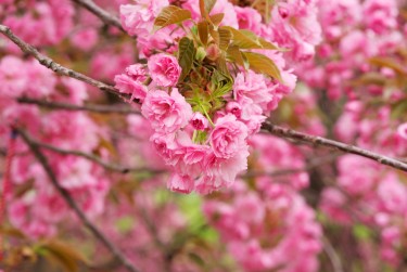 上海静安区线下个人借款平台一站式服务，轻松解决资金难题