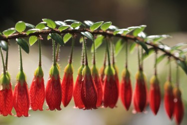 上海静安区零用贷短借：轻松解决临时资金需求