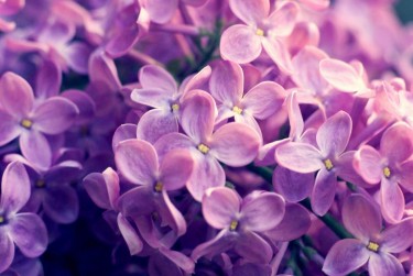 上海静安区企业急用钱贷款攻略：快速融资解燃眉之急